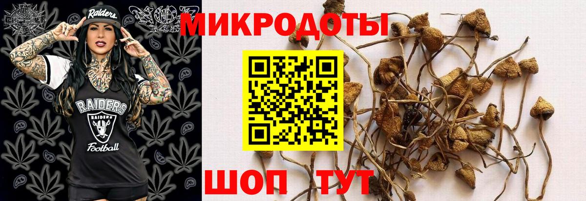 Псилоцибиновые грибы ЛСД Якутск