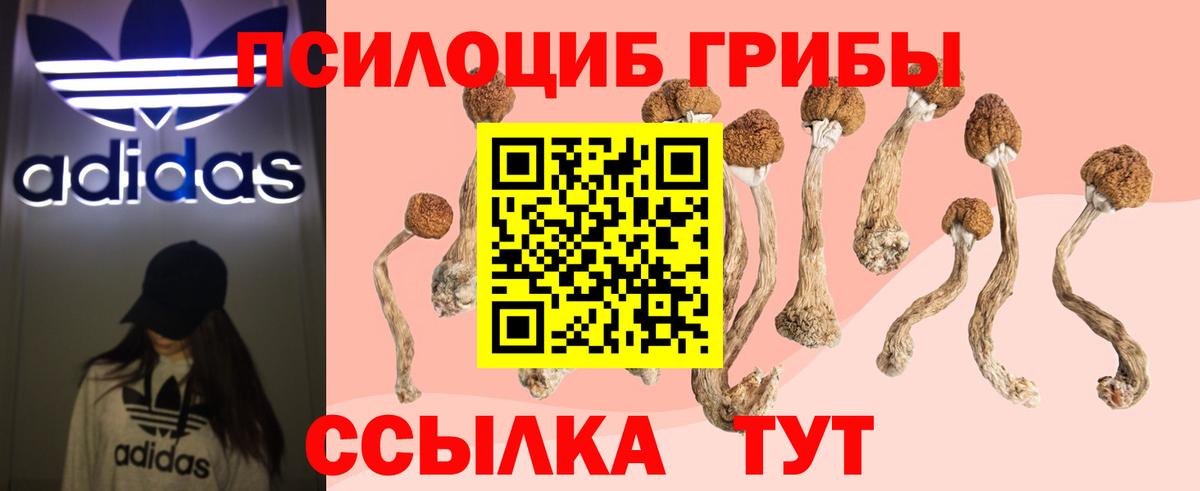 Якутск  Галлюциногенные грибы Magic Shrooms  Вход с VPN  Псилоцибиновые грибы Cubensis 